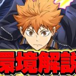 日向はすぐに環境から消える？消えない？パズドラの最強リーダー環境を予想解説します！！【パズドラ】