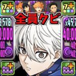 【相性抜群】ぶっ壊れループ爆誕！日向クビでも最強すぎた新億兆【パズドラ】
