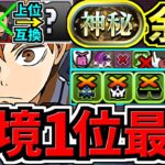 【環境1位】○○採用でさらに強くなった最強テンプレ解説！神秘チャレンジ周回！ぶっ壊れ日向編成！代用・立ち回り解説！ハイキューコラボ/日向翔陽/影山飛雄【パズドラ】