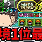 【環境1位】ぶっ壊れ及川×最強相方○○！最強テンプレ解説！神秘チャレンジ周回！編成・代用・立ち回り解説！ハイキューコラボ/及川徹【パズドラ】