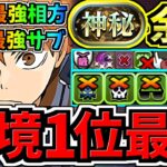 【環境1位】新しい最強相方&超意外な最強サブで最強テンプレ更新！神秘チャレンジ周回！ぶっ壊れ日向×○○編成！代用・立ち回り解説！ハイキューコラボ【パズドラ】