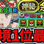 【環境1位】スタメン2体更新で超絶強くなった最強テンプレ解説！神秘チャレンジ周回！ぶっ壊れアイズ×リュー編成！代用・立ち回り解説【パズドラ】