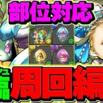 【最速】1周3分台でラヴィッシュ降臨を部位破壊周回！これ組めばOK！代用&立ち回り解説！【パズドラ】
