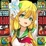 【史上初】スキル2回縛りのぶっ壊れ⁉︎  学園フレイヤがヤバすぎた新億兆【パズドラ】