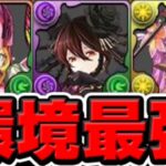 【最強爆誕】2色陣＋2,340億ループ⁉︎ ぶっ壊れ新キャラたちがヤバすぎた星を紡ぐ精霊シリーズ【パズドラ】