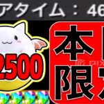 【難民必見】魔法石、たまドラ2,500体、＋ポイント5万GET！今すぐやろう！【パズドラ】