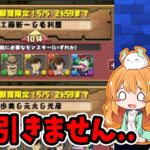 コナン&YAIBAガチャはこれで最後です…【パズドラ/切り抜き】