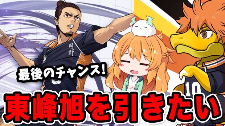 東峰旭が欲しいのでハイキューコラボガチャを追加で回した結果…！！【パズドラ】