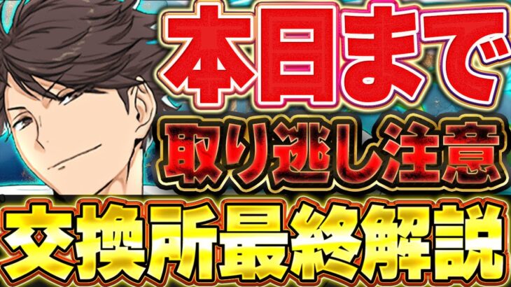 【🚨本日まで🚨】実はあのみんな持ってる編成でも使えるキャラが存在！！ハイキューコラボ交換所などの最終解説！！【パズドラ実況】＃パズドラ ＃ハイキューコラボ