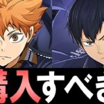 【考え方を解説】ハイキューコラボガチャ購入解説!!微課金目線で徹底解説します。【パズドラ】