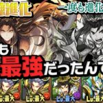 試練進化できなかった木諸葛亮を救いたい【パズドラ】