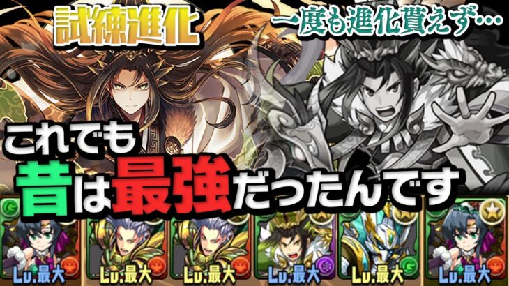 試練進化できなかった木諸葛亮を救いたい【パズドラ】