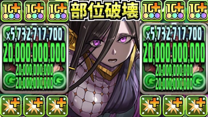 【最強相方判明】爆速快適！盤面２コンボで新億兆がおさんぽ出来るの笑うしかない【パズドラ】