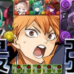日向が更に最強に⁉︎ パズドラ学園新キャラと既存強化がヤバすぎる【パズドラ】