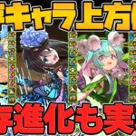 既存進化&強化解説！星を紡ぐ精霊キャラ所持者必見！武器も超絶強化されてます！！【パズドラ】