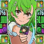 【裏技】実質強化ver草御坂⁉︎ 2,000〜4,000億ループが最強すぎたハイキューコラボ【パズドラ】