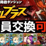【ボルブラス降臨】簡易バレンタインノア編成！10周でなんと1万MP貰えちまうんだ！【パズドラ】