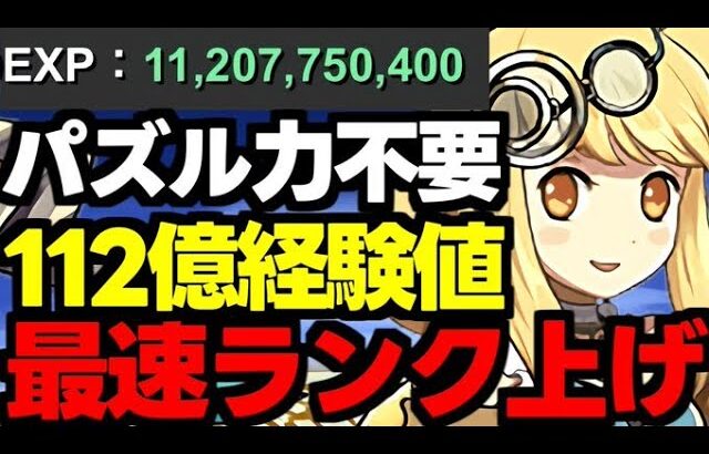 【112億経験値】パズル力不要で最高率のランク上げ！1周最大112億経験値のディバインゲート12億コロシアム！サレサレ編成代用＆立ち回り解説！【パズドラ】