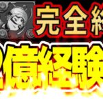 【ランク上げ革命】ログイン初日にランク1,200時代到来⁉︎ 新ダンジョンがヤバすぎる【パズドラ】