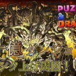 【パズドラ】十億ダンジョンでランク上げするぞ！！！ランク1244～