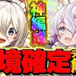 【ぶっ壊れ】メイドイデアル×ラビリルが強すぎて木星崩壊！？攻撃力75000倍＋固定1200万で敵が溶けるｗｗ【パズドラ】