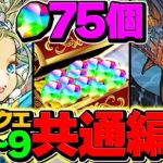 【神アプデ】魔法石75個をゲット！5月クエストLV1-LV9共通編成！代用&立ち回り解説！【パズドラ】