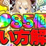 魔法石85個の絶対に損しない使い方解説！ガンコラvsロゼッタについて解説します！【パズドラ】