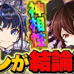 ロゼッタ世界最強テンプレ！メイドネレ武器で棘無効&毒無効に！環境完全変化！！LVEXもヌルゲーになりました！【パズドラ】