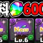 【今がチャンス】運営、完全にやらかす【パズドラ】