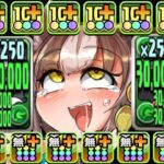 最新難関余裕攻略！魔改造されたルルナがぶっ壊れすぎてヤバい【パズドラ】