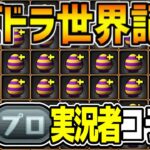世界記録達成！プロパズドラーコラボ！感動＆衝撃のラスト！【パズドラ】