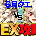 【環境1位】6月EXクエストをメイドイデアルで攻略！余裕でぶっ潰せます！【パズドラ】