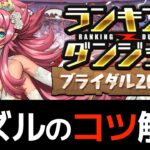 【ランダンブライダル杯】21万点の出し方！ルーレットは友達、怖くない【パズドラ】