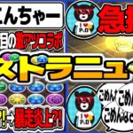【激アツ】最強実況者復活！山本P急接近！からの謝罪ラッシュがヤバすぎたパズドラゼロ【パズドラ】