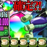 【悪用禁止】メイド執事版メルエムを使うとデータがバグりまくってヤバすぎた【パズドラ】