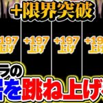 【炎上】新要素「＋限界突破」でパズドラが別ゲーになる未来が見えてきた…【本音】