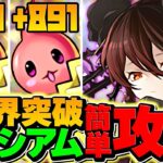 【終わり】＋限界突破コロシアムをロゼッタで初見攻略！正直これ地獄です・・・【パズドラ】