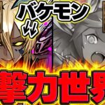 【世界記録】パズドラの世界1位が更新されましたｗｗｗｗｗｗｗｗｗｗｗ【パズドラ】