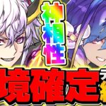 【革命】バイオレットフィズ×ザイラスが人権！引けたらマジで勝ち組です！木星11分攻略！廃課金専用キャラ【パズドラ】
