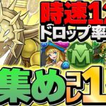 【時速12万MP】モンポ集めは今やろう！上級周回編成紹介！釣リットイベも対応！夏休みイベント【パズドラ】