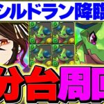 【4分台】シルドラン降臨をロゼッタで周回！ボスも1パンで余裕攻略！これ組めばOKです！【パズドラ】