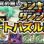 【ランダン ミリー杯】4色目覚めに頼らない！？ルートパズル5回で王冠狙い！166,800 ↑【パズドラ】