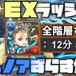 【パズドラ】7月のEXラッシュ！バレンタインノアずらすだけ12分超簡単クリア編成！立ち回り解説！