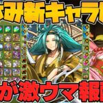 新キャラ8体追加実装&釣りイベがアツイ！9800円セットも販売！夏休みイベント解説！【パズドラ】