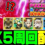 『パズドラゼロ』でEX5を周回するぞ！新しい編成ぼ！ #パズドラ0 #パズドラゼロ