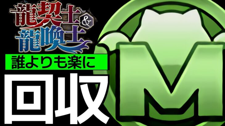 【MP25万】アシストなし共通編成で即回収！龍契士コロシアム、ジィルクロム降臨、ドラゴンフォレストSランク【パズドラ】