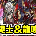 【龍契士＆龍喚士】マイネがついにガチャキャラに！新キャラ性能チェック！【パズドラ】