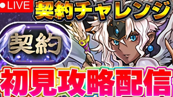 【パズドラ配信】契約チャレンジを初見攻略！！【パズドラ実況】