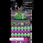 🔴【ランダン】横型と同時配信中‼️ #パズドラ