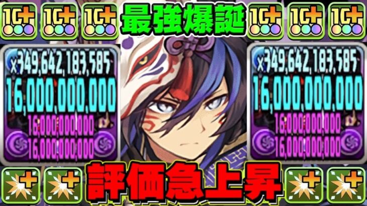 環境最強完全復活！釘生成ループで超根性＆部位破壊適正がヤバすぎたクロトビ【パズドラ】